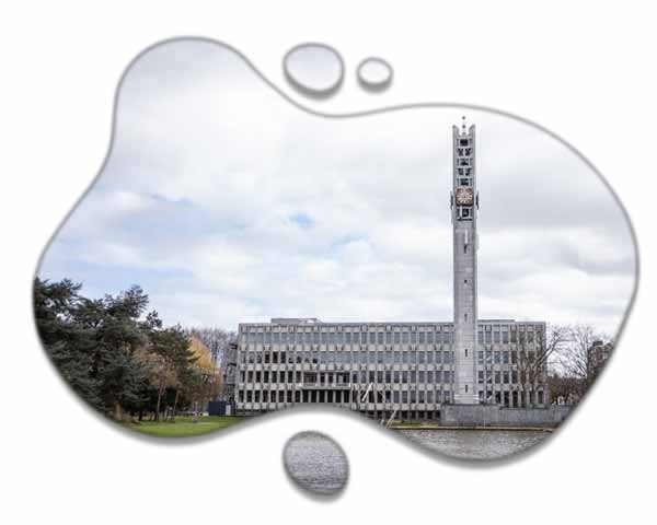 Webdesign en website laten maken in Rijswijk en met SEO hoger in Google.