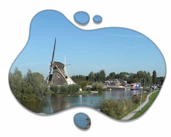 Website laten maken voor je bedrijf in Schipluiden en hoger in Google met SEO.